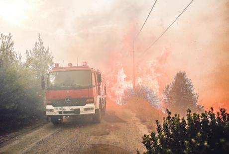 Спасените девојчиња во Грција не се исчезнатите близначки