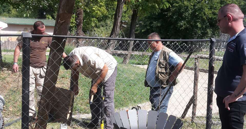 Крокодилите веќе нема да бегаат од Зоолошката градина во Скопје – добија нова ограда