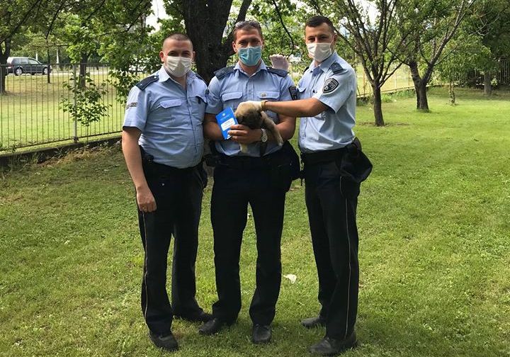 Полицајци од полициската станица во Аеродром нашле напуштено кутре и го вдомиле
