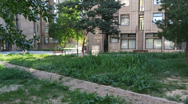 (ФОТО) Исчезна биста на Гоце Делчев во Скопје